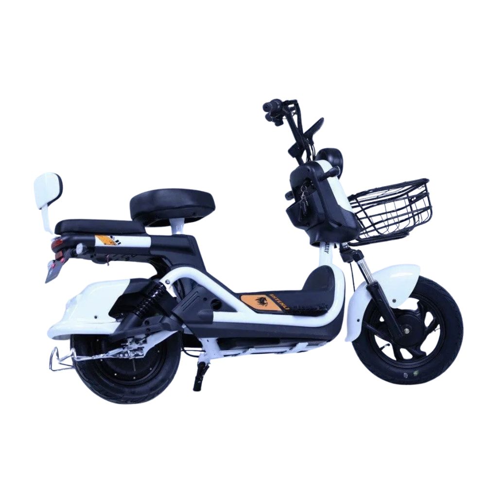 Электроскутер Shtenli Model 21 Performance Pro (аккумулятор 5шт 20Ач12В)